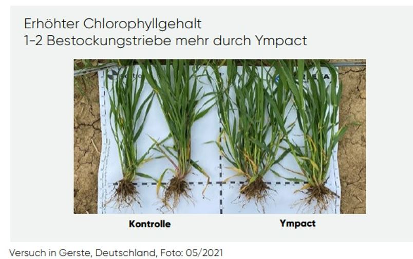 Erhöhte Widerstandskraft